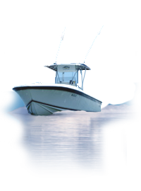 Top Quality Marine And Fishing Boat Accessories!