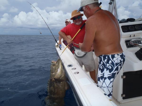Vinny with his #150+ Goliath Grouper
