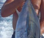 Terry with a nice 17# black fin